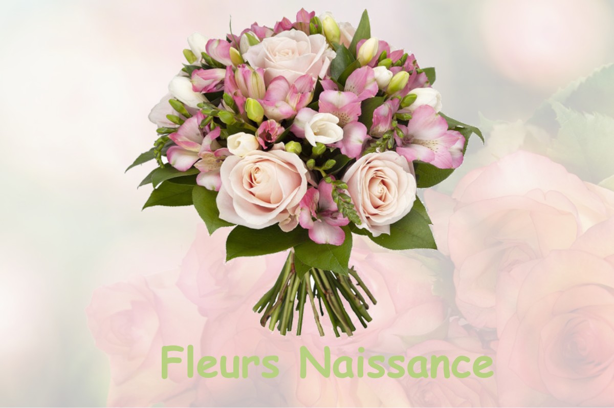 fleurs naissance MAULAN