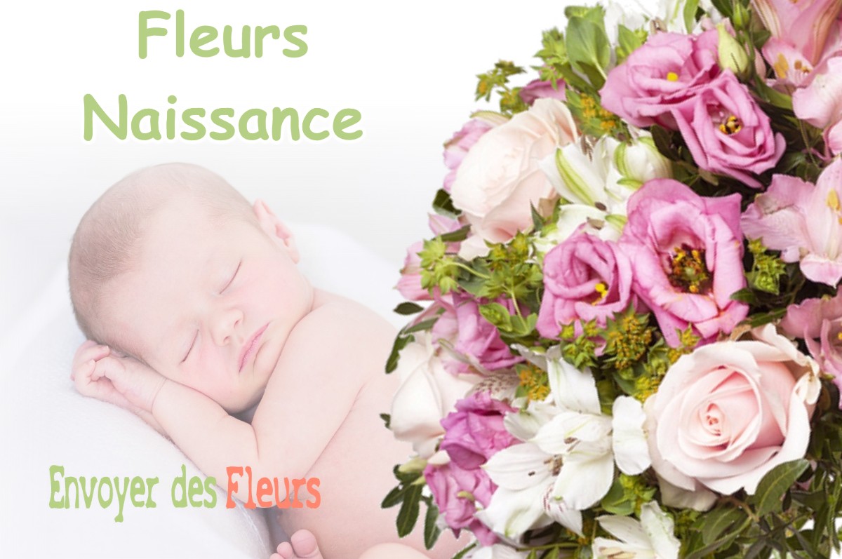 lIVRAISON FLEURS NAISSANCE à MAULAN